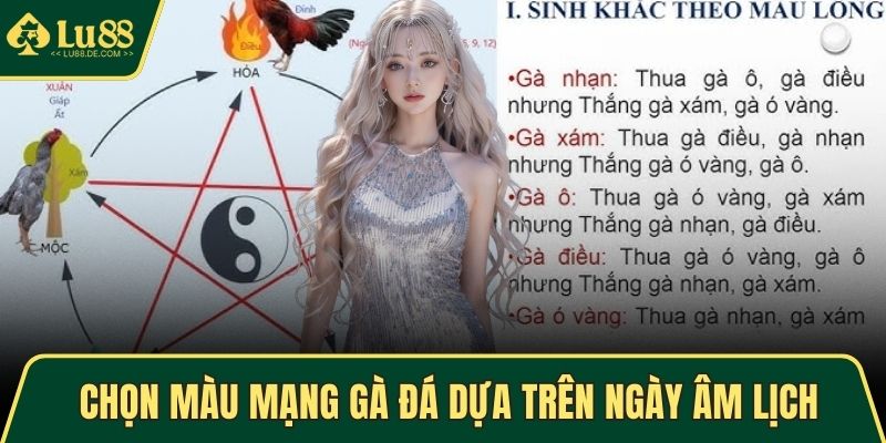 Chọn màu mạng gà đá dựa trên ngày âm lịch