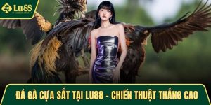 Đá gà cựa sắt