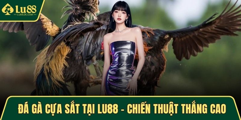 Đá Gà Cựa Sắt Tại LU88 – Chiến Thuật Thắng Cao Mỗi Phiên 1 Đá gà cựa sắt