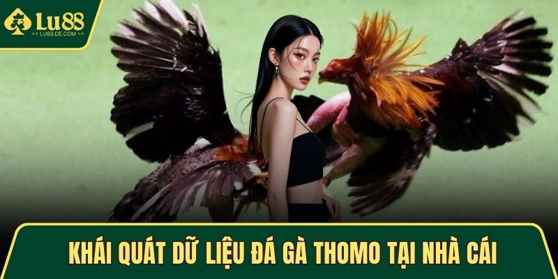 Khái quát dữ liệu đá gà Thomo tại nhà cái