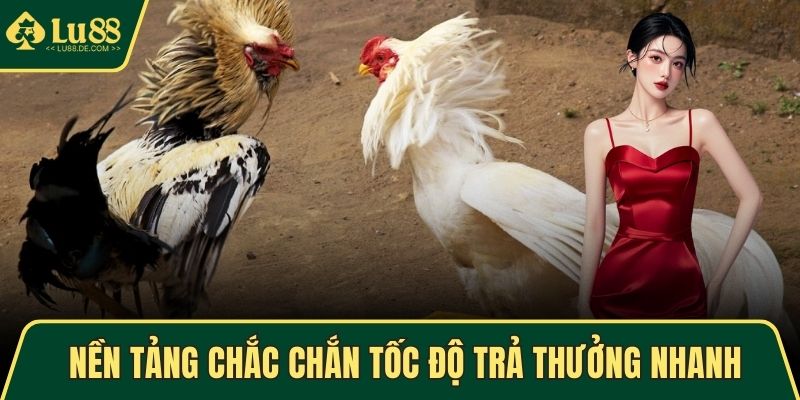 Đá Gà Cựa Sắt Tại LU88 – Chiến Thuật Thắng Cao Mỗi Phiên 3 Nền tảng chắc chắn tốc độ trả thưởng nhanh