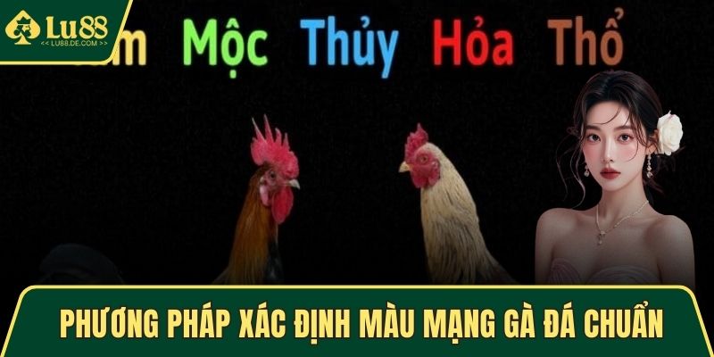 Phương pháp xác định màu mạng gà đá chuẩn xác nhất