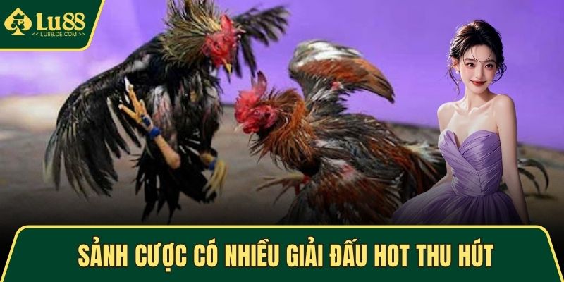 Sảnh cược có nhiều giải đấu hot thu hút