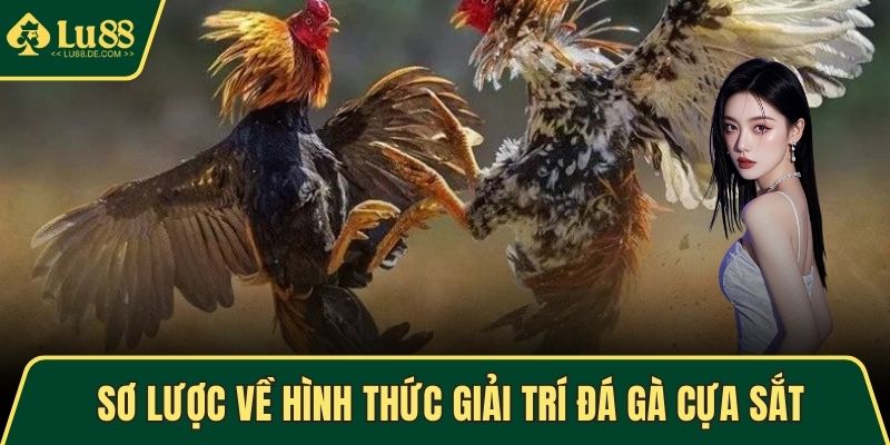 Đá Gà Cựa Sắt - Thế Giới Cá Cược Kịch Tính, Hấp Dẫn Nhất 2 Sơ lược về hình thức giải trí đá gà cựa sắt