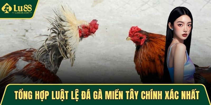 Đá Gà Miền Tây - Hình Thức Giải Trí Lôi Cuốn, Kịch Tính Nhất 4 Tổng hợp luật lệ đá gà miền Tây chính xác nhất
