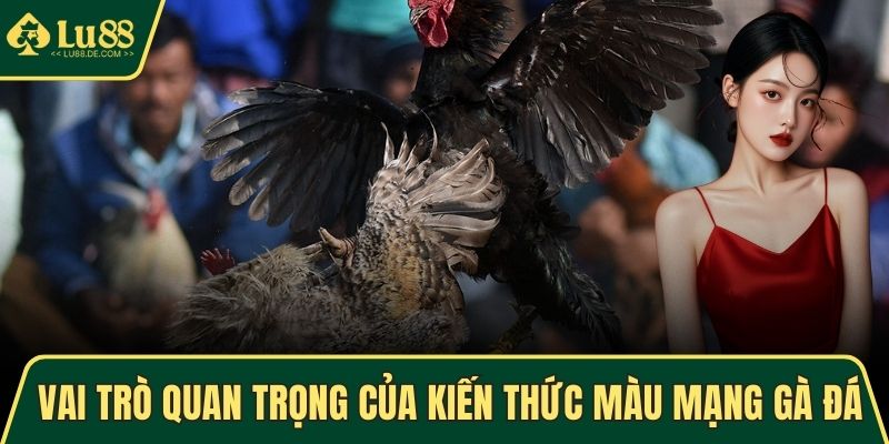 Vai trò quan trọng của kiến thức màu mạng gà đá